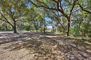 3980 SE 183rd Avenue Rd, Ocklawaha, FL 32179 - Photo 28