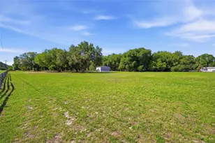 3980 SE 183rd Avenue Rd, Ocklawaha, FL 32179 - Photo 8