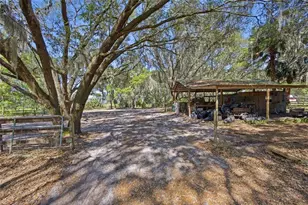 3980 SE 183rd Avenue Rd, Ocklawaha, FL 32179 - Photo 22