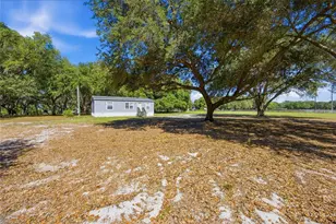 3980 SE 183rd Avenue Rd, Ocklawaha, FL 32179 - Photo 14