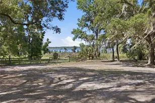 3980 SE 183rd Avenue Rd, Ocklawaha, FL 32179 - Photo 6