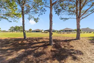8889 SW 86th Loop, Ocala, FL 34481 - Photo 10