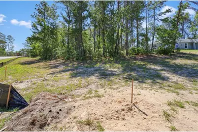 Tbd SW 50th Avenue, Ocala, FL 34473 - Photo 2