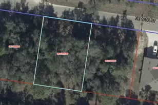 Tba NE 10th St, Williston, FL 32696 - Photo 1
