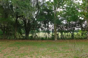 6875 NE 25th Ave, Ocala, FL 34479 - Photo 64