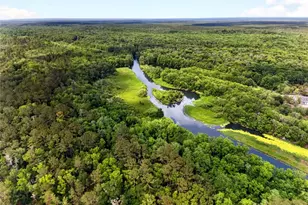 15176 NE 154th Ln, Fort Mc Coy, FL 32134 - Photo 26