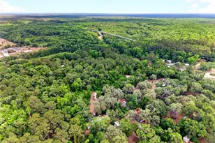15176 NE 154th Ln, Fort Mc Coy, FL 32134 - Photo 28