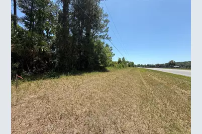00 NW Hwy 225, Reddick, FL 32686 - Photo 2