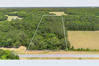 00 NW Hwy 225, Reddick, FL 32686 - Photo 6