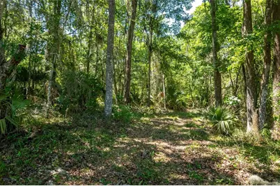 00 NW Hwy 225, Reddick, FL 32686 - Photo 4