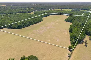 00 NW Hwy 225, Reddick, FL 32686 - Photo 1