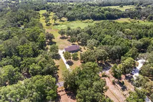 7330 NW 137th Ave, Morriston, FL 32668 - Photo 42