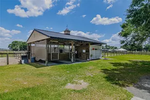 1155 E Hwy 316, Citra, FL 32113 - Photo 28