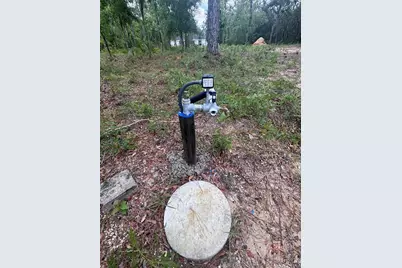 Tbd NE 16th Place, Williston, FL 32696 - Photo 1