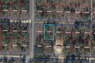 Tbd NE 16th Pl, Williston, FL 32696 - Photo 1