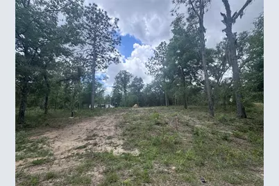 Tbd NE 16th Place, Williston, FL 32696 - Photo 2