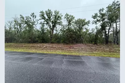 1900 W Magenta Drive, Dunnellon, FL 34434 - Photo 6