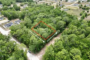 SW 31st Pl, Ocala, FL 34481 - Photo 1