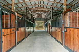 6157 W Hwy 329, Reddick, FL 32686 - Photo 22