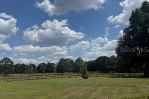 13551 NE 14th Ave, Citra, FL 32113 - Photo 36