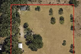 13551 NE 14th Ave, Citra, FL 32113 - Photo 2