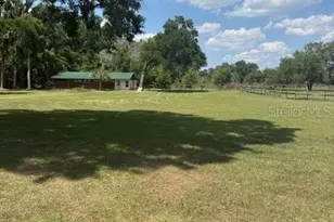 13551 NE 14th Ave, Citra, FL 32113 - Photo 36