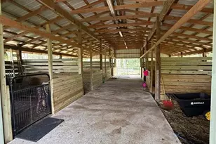 13551 NE 14th Ave, Citra, FL 32113 - Photo 8