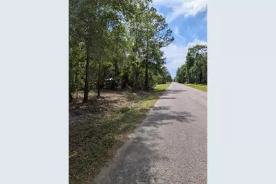 0 NE 220th Street, Fort Mc Coy, FL 32134 - Photo 2