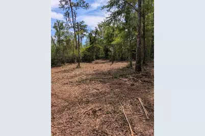 0 NE 220th Street, Fort Mc Coy, FL 32134 - Photo 8