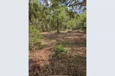 0 NE 220th Street, Fort Mc Coy, FL 32134 - Photo 10
