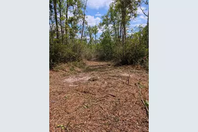 0 NE 220th Street, Fort Mc Coy, FL 32134 - Photo 6