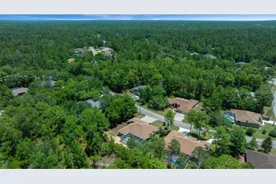 5 Saintpaulia Street, Homosassa, FL 34446 - Photo 36