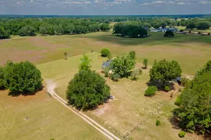 4381 NE 105th Pl, Anthony, FL 32617 - Photo 46