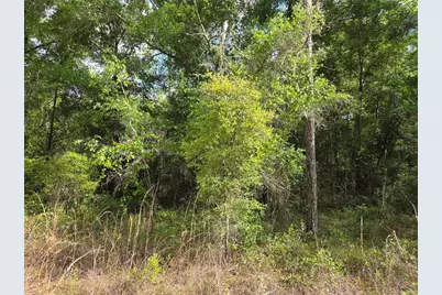 0000 NE 85th Street, Bronson, FL 32621 - Photo 6