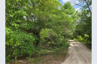 0000 NE 85th Street, Bronson, FL 32621 - Photo 4