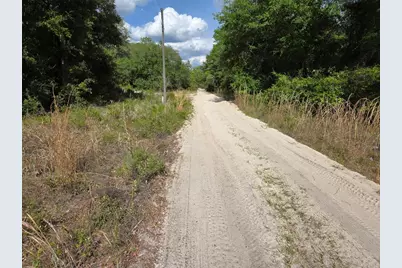 0000 NE 85th Street, Bronson, FL 32621 - Photo 8