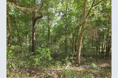 0000 NE 85th Street, Bronson, FL 32621 - Photo 2