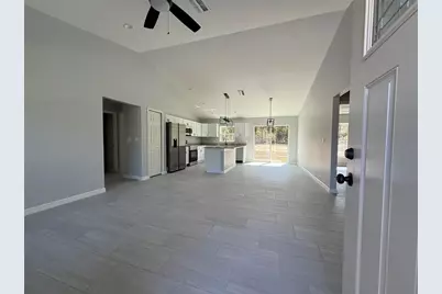 3 Guava Place Drive, Ocklawaha, FL 32179 - Photo 2