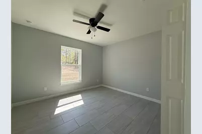 3 Guava Place Drive, Ocklawaha, FL 32179 - Photo 8