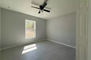 3 Guava Place Dr, Ocklawaha, FL 32179 - Photo 8