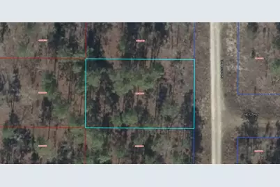 00 NE 151st Avenue NE, Williston, FL 32696 - Photo 1