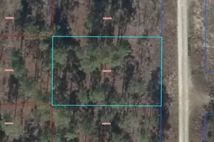 00 NE 151st Ave, Williston, FL 32696 - Photo 1
