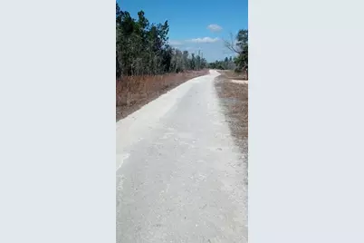 00 NE 151st Avenue NE, Williston, FL 32696 - Photo 2