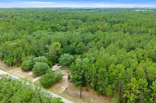 20349 SW 59th Ln, Dunnellon, FL 34431 - Photo 38