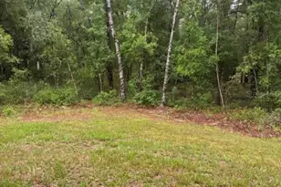 524 E Avondale Dr, Dunnellon, FL 34434 - Photo 8