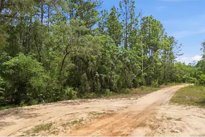5267 N Lace Point, Dunnellon, FL 34433 - Photo 2