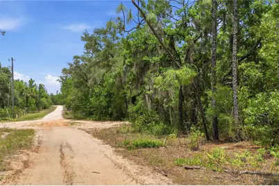 5339 N Lace Point, Dunnellon, FL 34433 - Photo 2