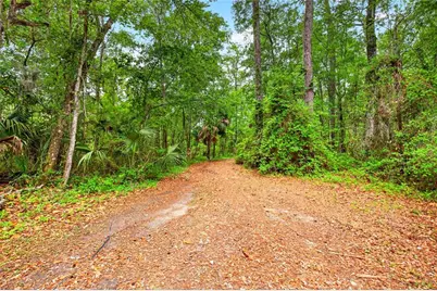 16555 N Highway 329, Reddick, FL 32686 - Photo 32
