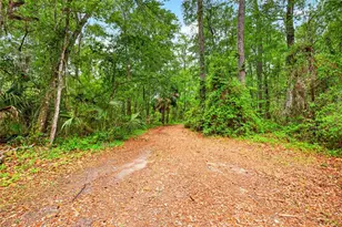 16555 N Hwy 329, Reddick, FL 32686 - Photo 32