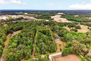 16555 N Hwy 329, Reddick, FL 32686 - Photo 2